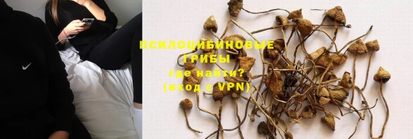 бошки Пестово